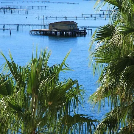 Tamaris Studio, Pool &